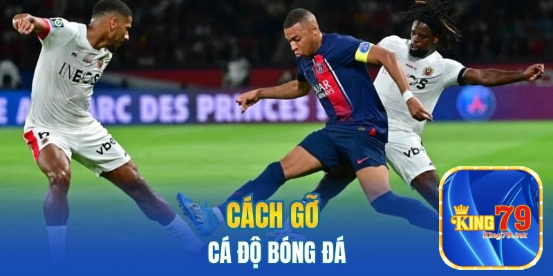Cách gỡ cá độ bóng đá