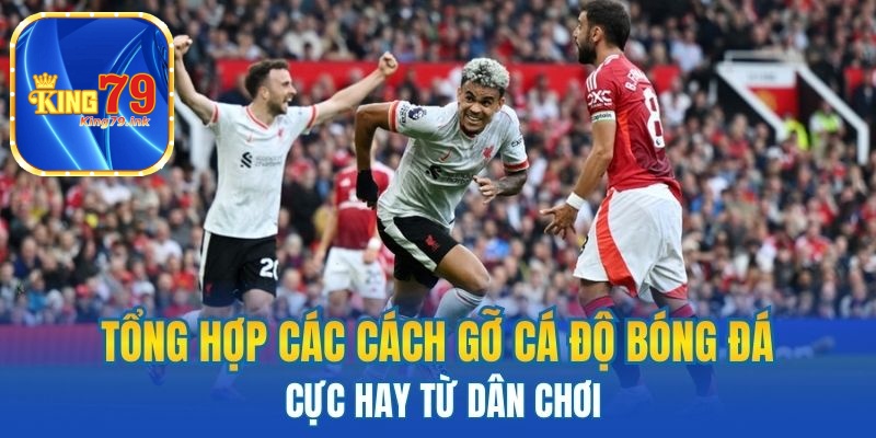 Tổng hợp các cách gỡ cá độ bóng đá