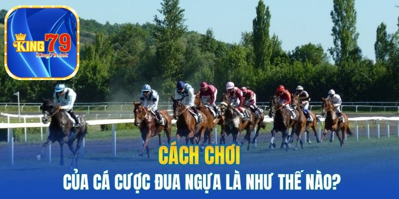 Cách chơi của cá cược đua ngựa là như thế nào