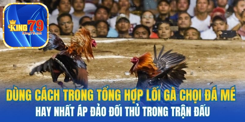 Dùng cách trong tổng hợp lại gà chọi đá mé