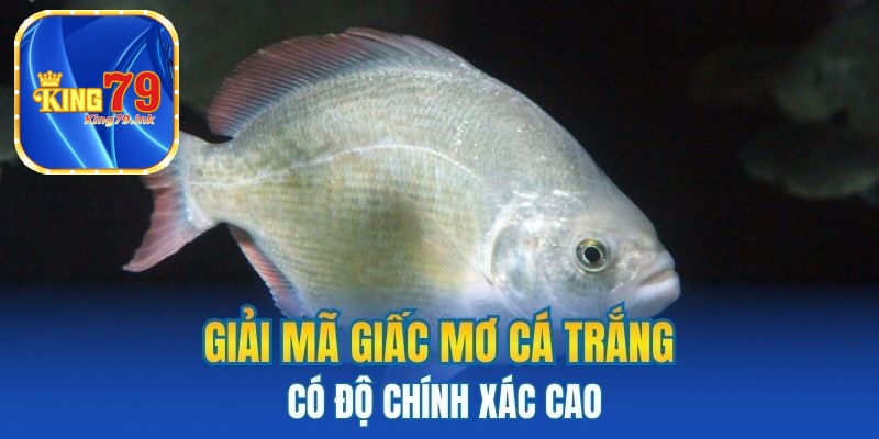 Giải mã giấc mơ cá trắng có độ chính xác cao