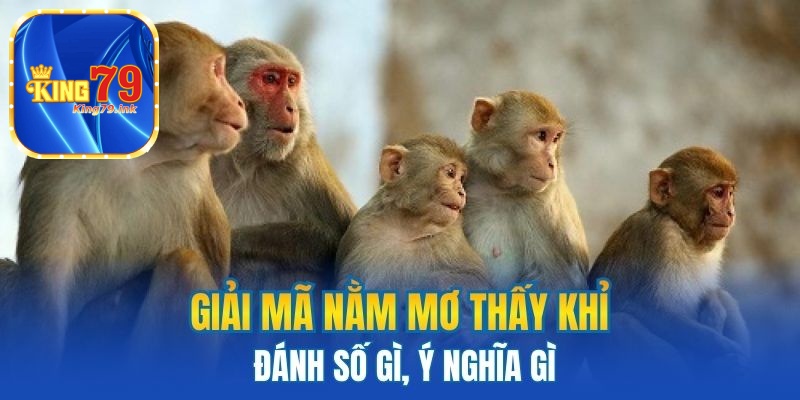 Giải mã nằm mơ thấy khỉ