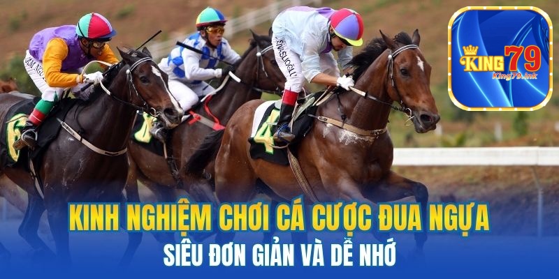 Kinh nghiệm chơi cá cược đua ngựa siêu đơn giản