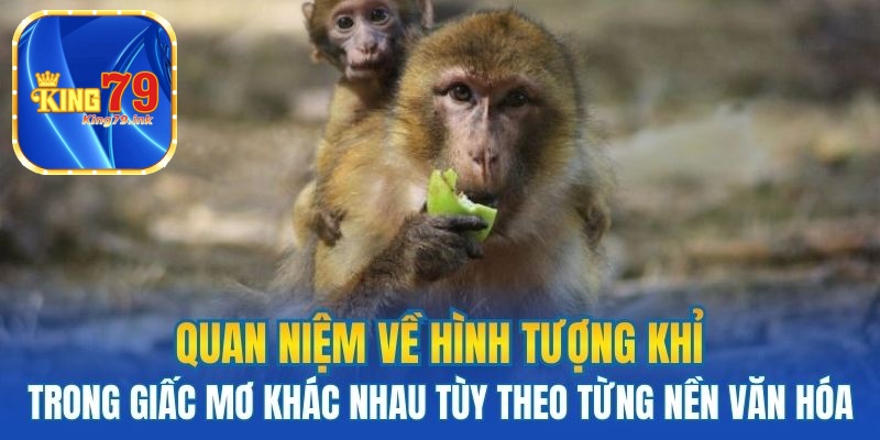 Quan niệm về hình tượng khỉ trong giấc mơ khác nhau