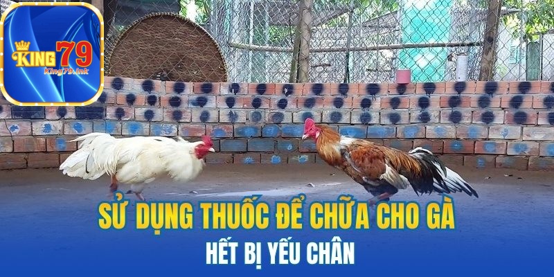 Sử dụng thuốc để chữa cho gà hết bị yếu