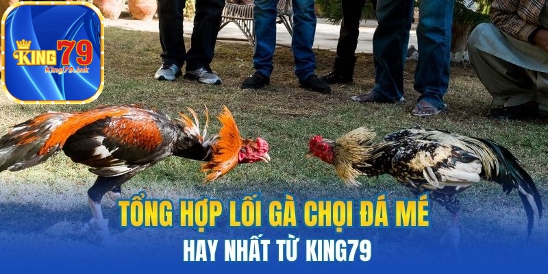 Tổng hợp lối gà chọi đá mé hay nhất từ King79