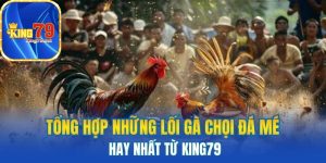 Tổng hợp gà chọi đá mé hay nhất từ King79