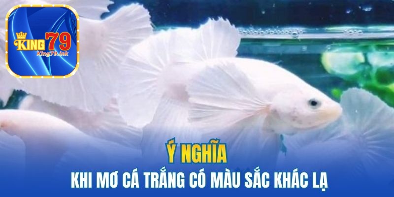 Ý nghĩa khi mơ cá trắng có màu sắc khác lạ